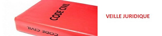 Banner 13