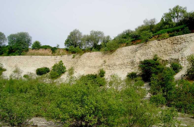 Carrière des plombs et des peupliers