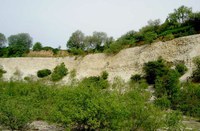 Carrière des plombs et des peupliers