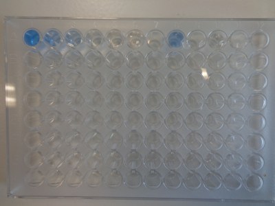 elisa 020